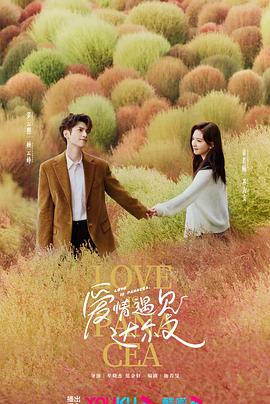 网站优化哪家正规